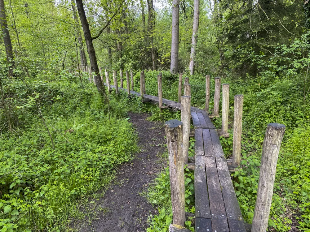 Serskampse bossen en omgeving (Oost-Vlaanderen)